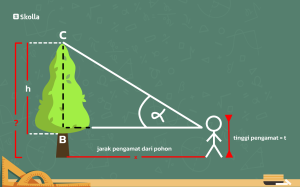 Contoh Soal Trigonometri